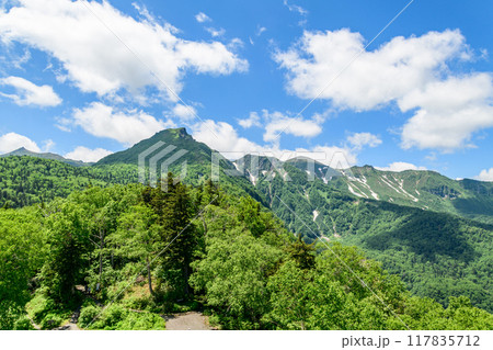 層雲峡黒岳山麓を歩く 117835712