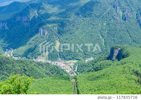 層雲峡黒岳山麓を歩く 117835716