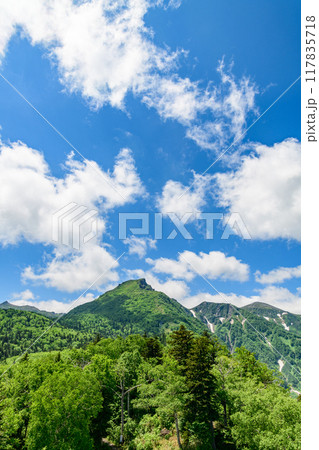 層雲峡黒岳山麓を歩く 117835718