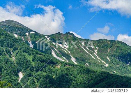 層雲峡黒岳山麓を歩く 117835719