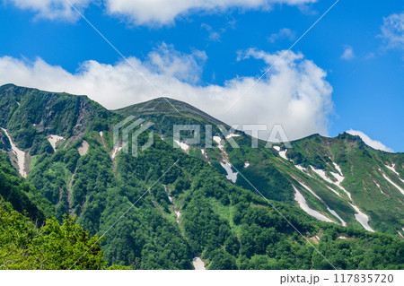 層雲峡黒岳山麓を歩く 117835720
