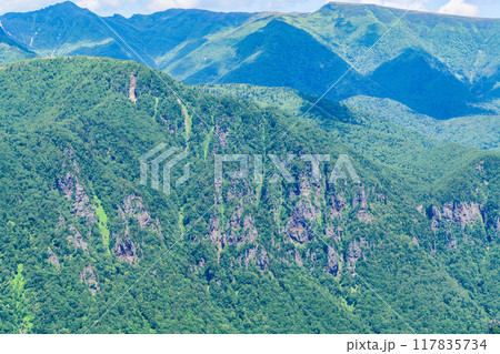 層雲峡黒岳山麓を歩く 117835734