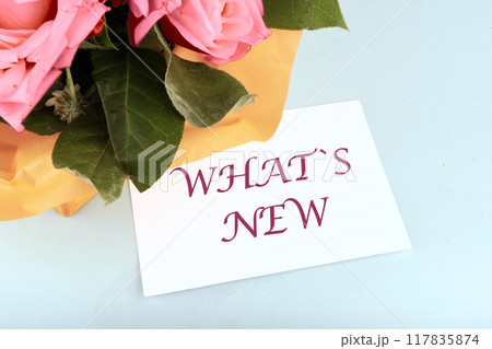 Modern social media communication. WHAT IS NEW words the inscription on the business card in the composition with flowers Modern social media communication. WHAT IS NEW words the inscription on the business card in the composition with flowers 117835874