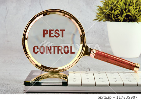 Pest control phrase written through the glass of a magnifying glass standing on a calculator on a gray background 117835907