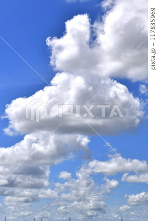 日本の横浜都市景観 送電線と夏空。猛烈な暑さが続く日本列島…巨大な雲が空に浮かぶ=8月 日本の横浜都市景観 送電線と夏空。猛烈な暑さが続く日本列島…巨大な雲が空に浮かぶ=8月 117835969