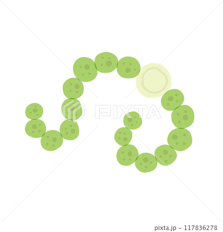 ネンジュモ ネンジュモ 117836278