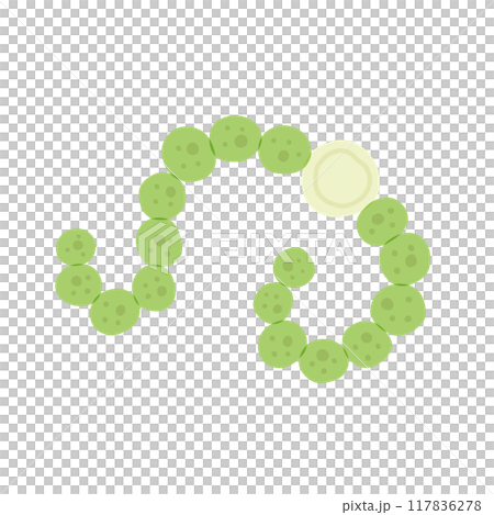 ネンジュモ ネンジュモ 117836278