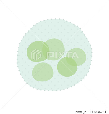 ボルボックス 117836281