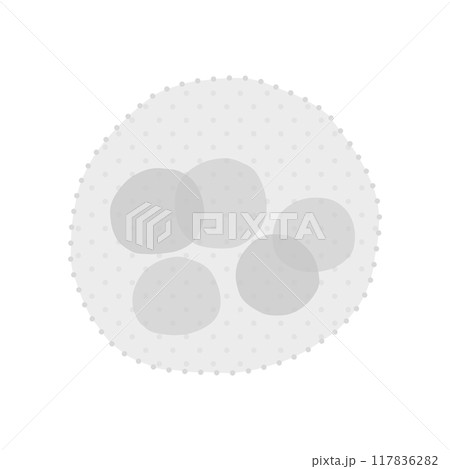 ボルボックス・モノクロ ボルボックス・モノクロ 117836282