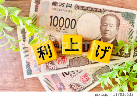 日銀の利上げ 日銀の利上げ 117836532