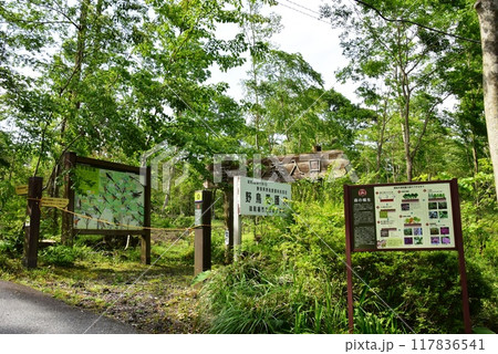 御殿場市 富士山御胎内清宏園野鳥の森入口 御殿場市 富士山御胎内清宏園野鳥の森入口 117836541