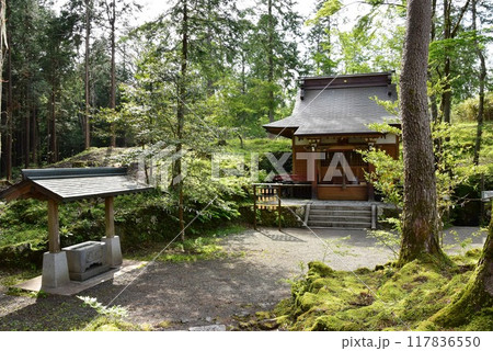 御殿場市　富士山御胎内清宏園　胎内神社の社殿と新緑　 117836550
