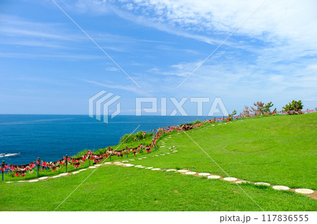 芝生の遊歩道と日本海 117836555