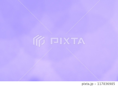 和紙によるボケ味を持つライラック【背景素材】 117836985