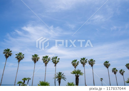 浦海浜公園 浦海浜公園 117837044