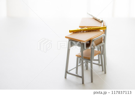 カーテン越しの光を受けるミニチュアの学校机とフルート 117837113