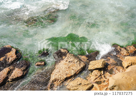 岩と海 117837275
