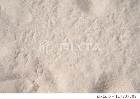 ホワイトサンド ホワイトサンド 117837308