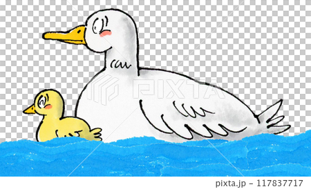 Ducks and ducklings on the waterside 117837717