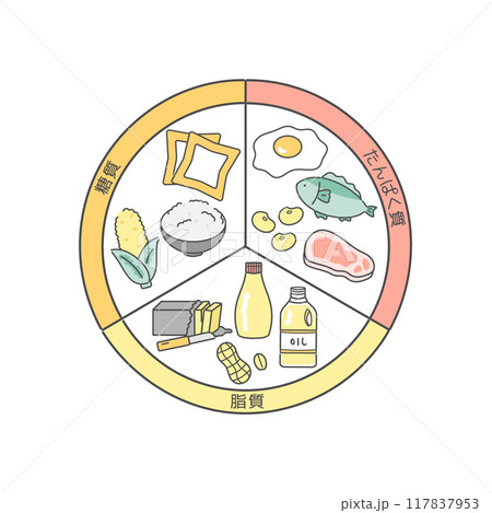 三大栄養素の表　イラストセット 117837953