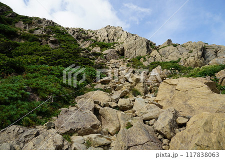 早池峰山 小田越コースの登山道 登山口近く 早池峰山 小田越コースの登山道 登山口近く 117838063