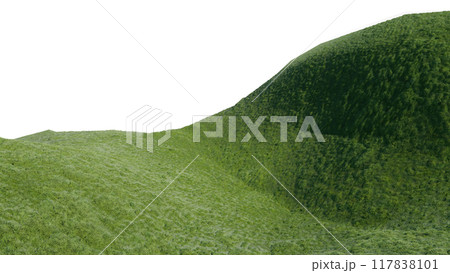 nature grass meadow land lush greenery landscape lawn isolated background. meadow green hill plant beautiful spring mountain park environment 3d render. grass plant field summer travel outdoor. 117838101