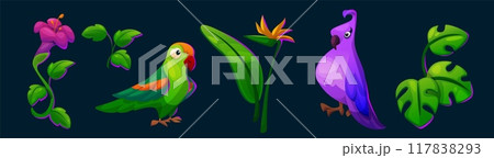 Parrot and tropical flower summer illustration Parrot and tropical flower summer illustration 117838293