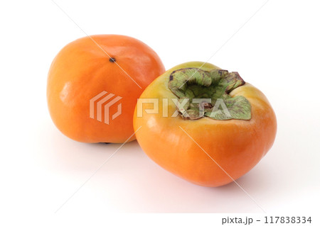 白背景の柿（西村早生） 117838334