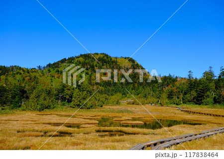 秋の志賀高原、四十八池湿原の風景 117838464