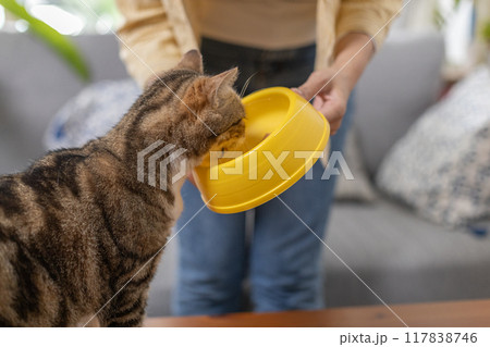 Feed the cat Female love cat, Pet lifestyle, People, Coexistence of people and pets. 117838746