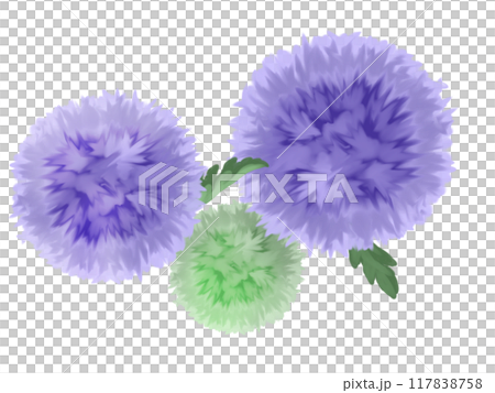 Illustration of blue thistle 117838758