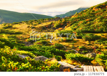 紅葉の北アルプスの雲ノ平 117838773