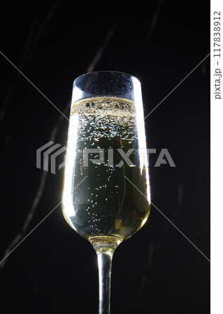 よく冷えたシャンパン(スパークリングワイン)が注がれたフルートグラス よく冷えたシャンパン(スパークリングワイン)が注がれたフルートグラス 117838912