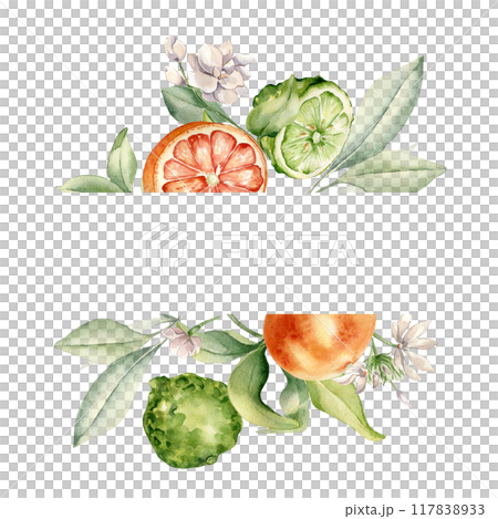 Half bergamot and orange fruits watercolor illustration isolated. Whole citrus and jasmine in frame. Hand drawn assorted fruits and branches in botanical sketch for summer floral invitation, package 117838933