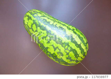 スイカ　すいか　西瓜　うり坊 117838977