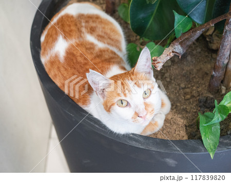 お気に入りスポット 117839820