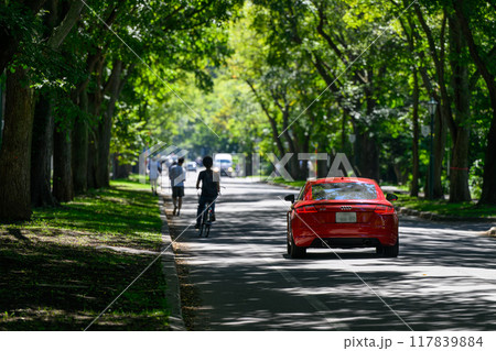 北大構内の夏_8498 117839884