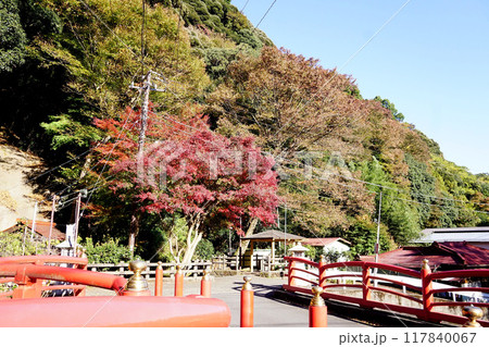 大山 紅葉 大山 紅葉 117840067