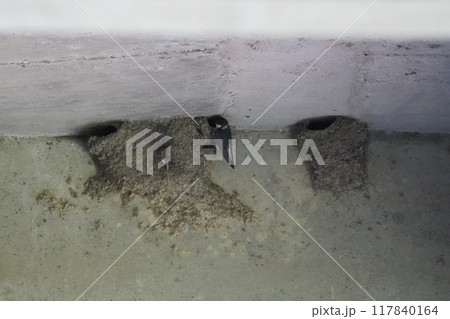 劣化したビニールハウスの防水 劣化したビニールハウスの防水 117840164