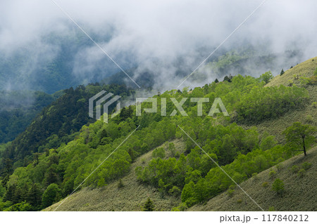 爽やかな夏の高原 爽やかな夏の高原 117840212