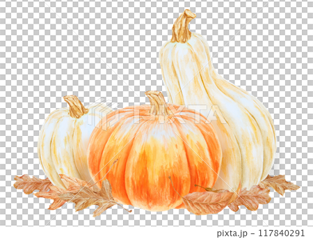 Orange and white pumpkins, dry brown leaves illustration. Halloween clip art. Hand drawn watercolor botanical isolated painting with fall vegetables for banner template, prints, cards, stickers Orange and white pumpkins, dry brown leaves illustration. Halloween clip art. Hand drawn watercolor botanical isolated painting with fall vegetables for banner template, prints, cards, stickers 117840291