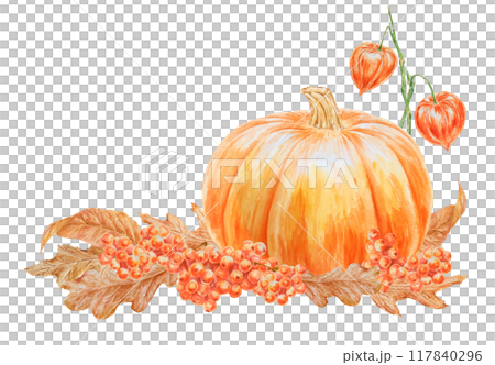 Orange pumpkin, rowan berries, physalis, dry brown leaves illustration. Hand drawn watercolor isolated clip art with fall vegetables and plants for banner template, halloween print, farm goods packing 117840296
