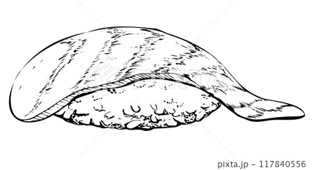 Traditional Japanese food, nigiri sushi raw fish on rice ball, tuna salmon seabass whitefin, hand drawn in vector pen, ink. Illustration for restaurant, cafe menu, kitchen print, cooking recipe book Traditional Japanese food, nigiri sushi raw fish on rice ball, tuna salmon seabass whitefin, hand drawn in vector pen, ink. Illustration for restaurant, cafe menu, kitchen print, cooking recipe book 117840556