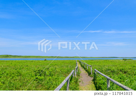 道東サロマ湖 ワッカ原生花園 道東サロマ湖 ワッカ原生花園 117841015