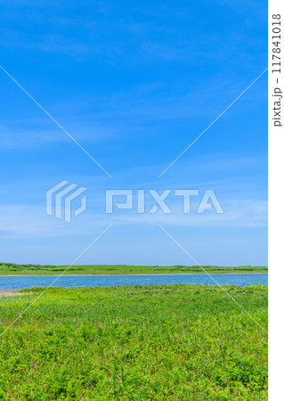 道東サロマ湖 ワッカ原生花園 道東サロマ湖 ワッカ原生花園 117841018