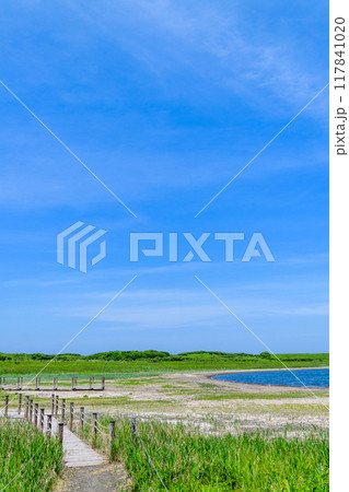 道東サロマ湖  ワッカ原生花園 117841020