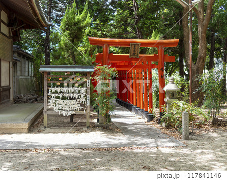 鮮やかな稲荷社の鳥居とお神籤 117841146