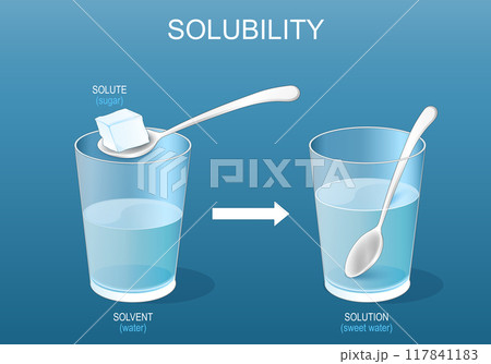 Solubility. Solutions. Experiment with sugar and glass of water. 117841183