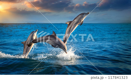 海でジャンプするイルカ（AI生成画像） 117841323