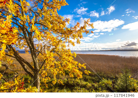 Autumn view from Sotkamo, Finland.	 117841946